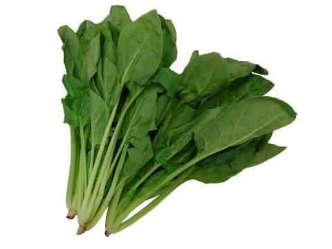 ほうれん草ベイシアネットスーパー楽天全国スーパ