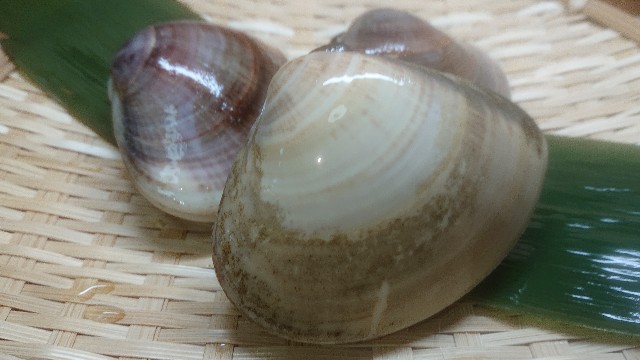 失敗しないあさりの砂抜き法はこれ！ 鮮魚店直伝 簡単レシピ付き三越伊勢丹の食メディアFOODIE フーディー