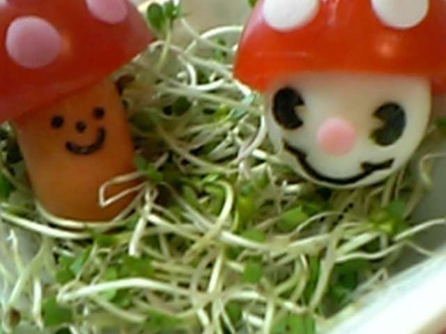 キャラ弁スーパーマリオブラザーズ 秋に関連しているのはギリギリでキノコのキノピオだけ弁当