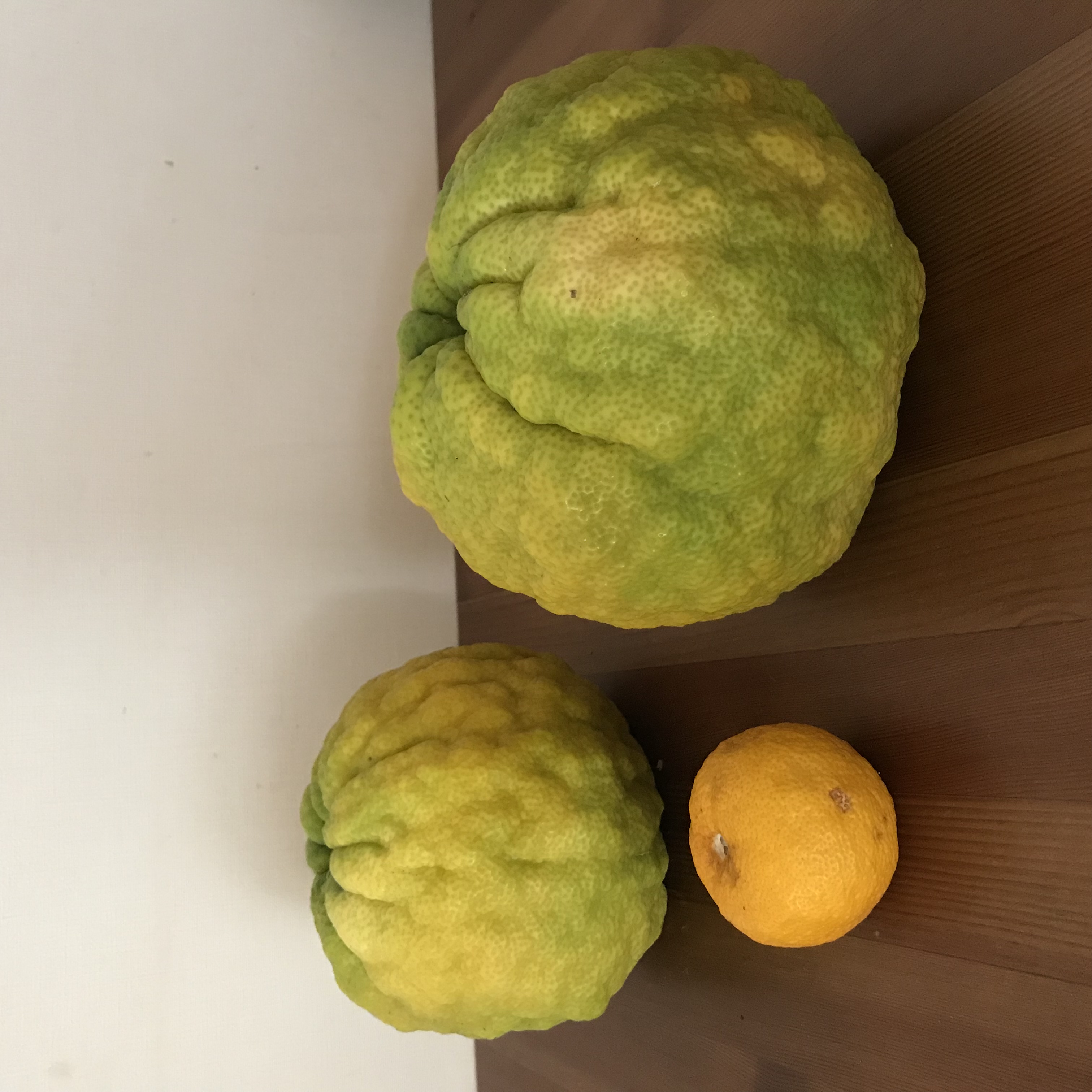 鬼柚子ジャムを作ろう銀河ステーション