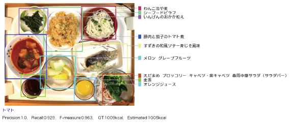 論文レビューAre Vision-Language Models Ready for Dietary Assessment? Exploringthe Next Frontier in AI-Powered Food Image Recognition