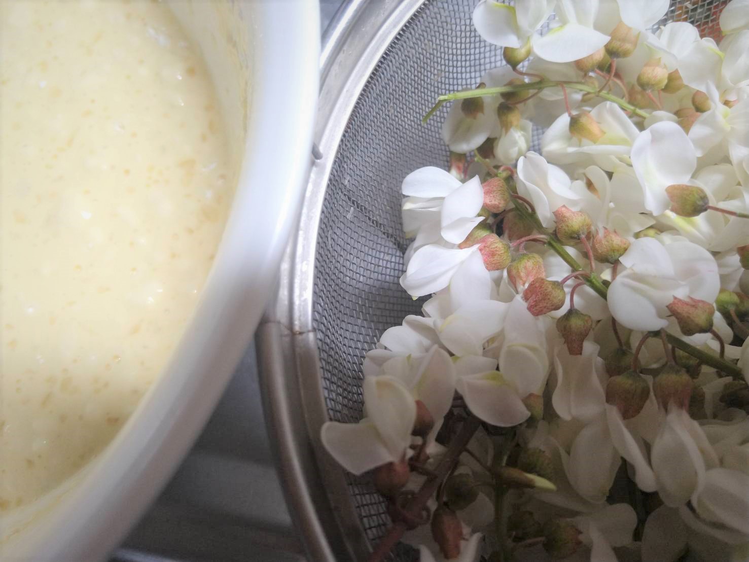 軽井沢の今だけの味！花アカシアの天ぷら♡石井櫻乃オフィシャルブログ「書Time」Powered by Ameba