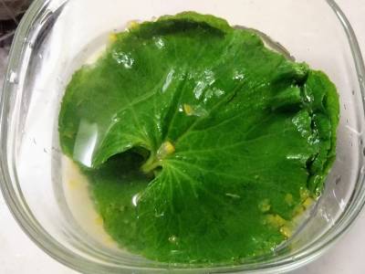 葉わさびレシピ - 株式会社いろどり