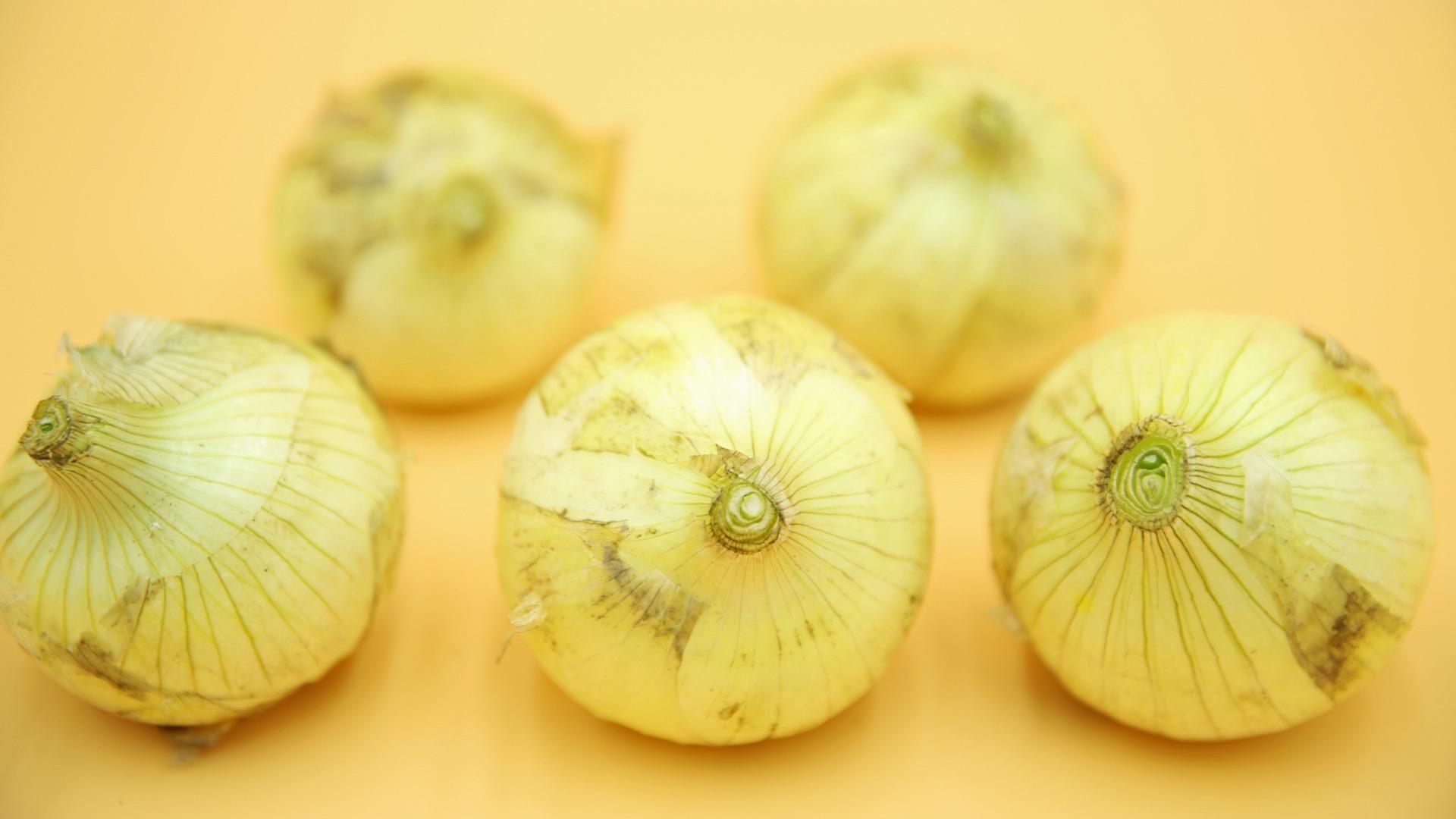 新玉ねぎの保存ガイド！常温・冷蔵・冷凍で長持ちさせるコツと絶品レシピも紹介くらだしマガジン