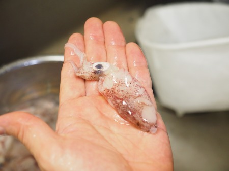 レシピ『小さいイカ・ヒイカの下処理と食べ方のコツ』ワタと皮はそのままでOK！いそがばまわれ