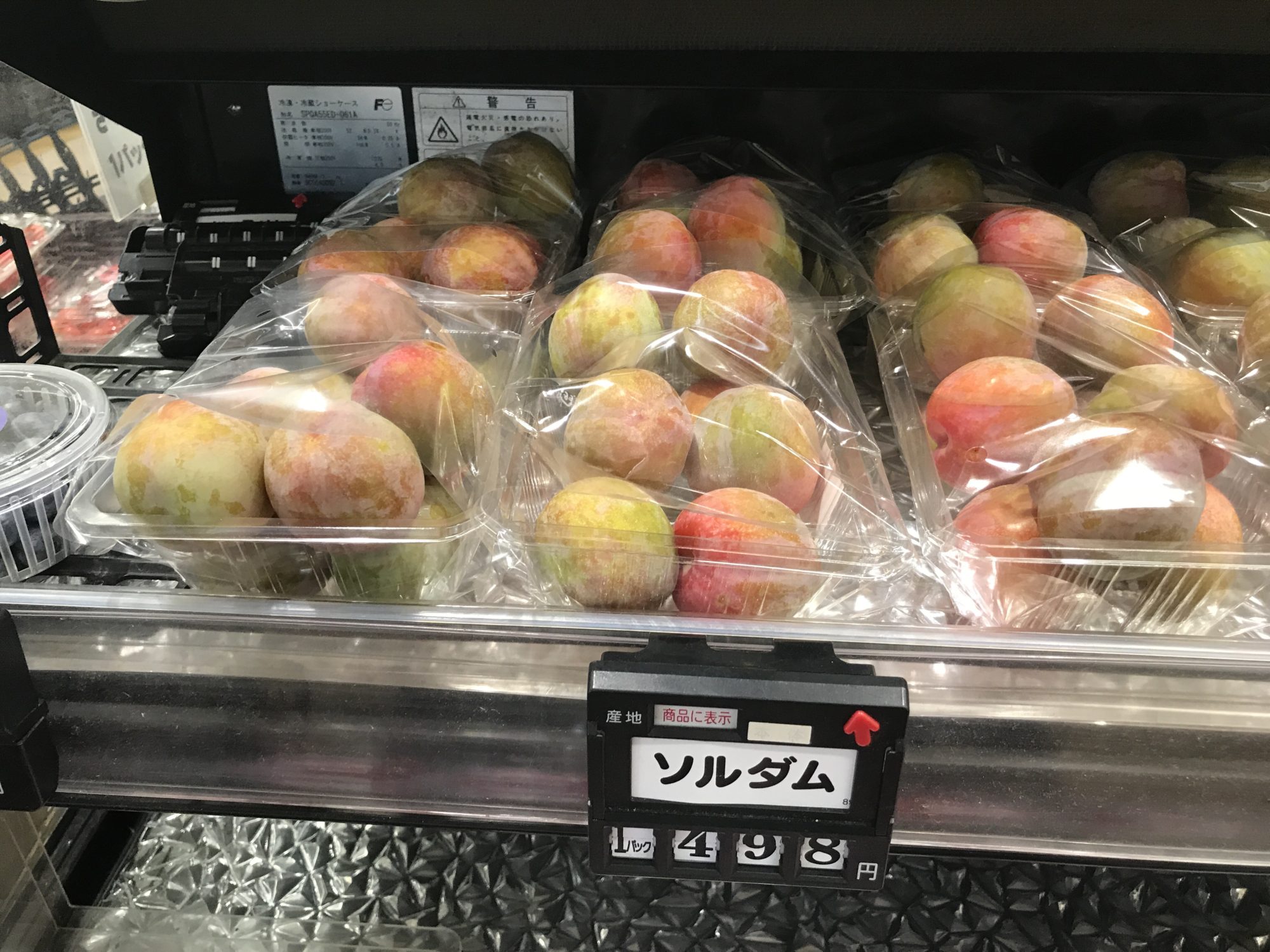 ソルダムとプラムの違い：特徴・味・選び方を徹底解説