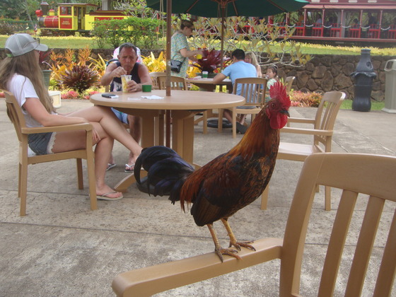 たまごの構造たまごの話株式会社 玉新