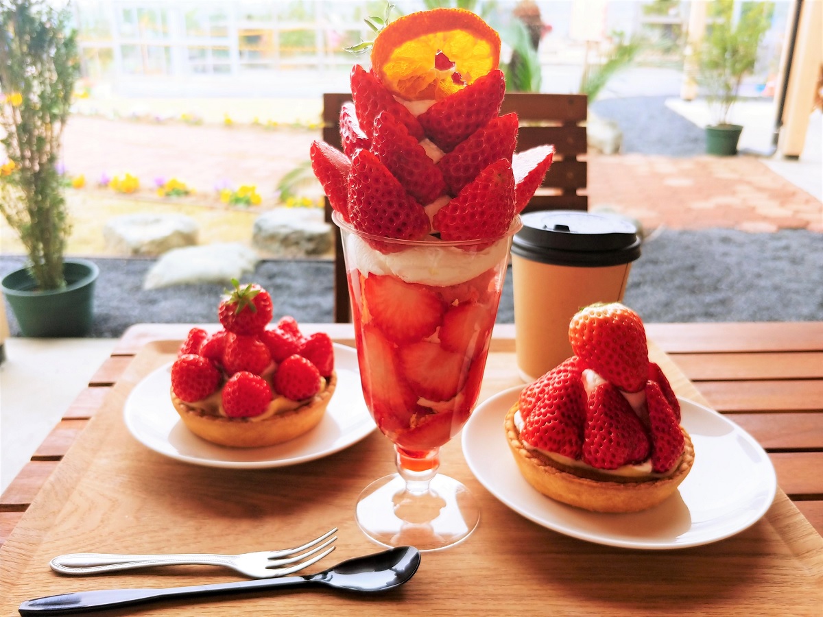 ごろグラ いちごづくし 320g