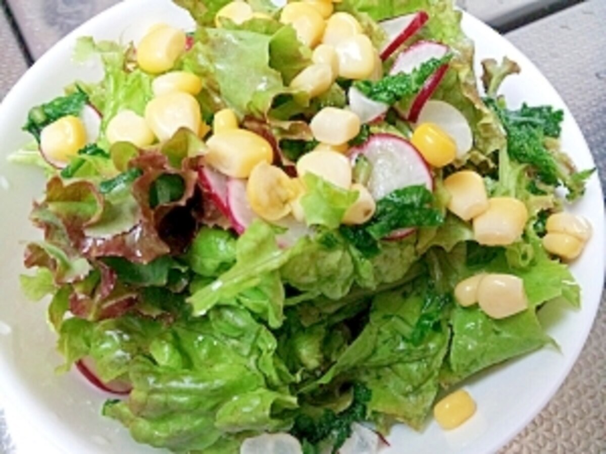 ラディッシュの葉っぱは食べれるTikTok