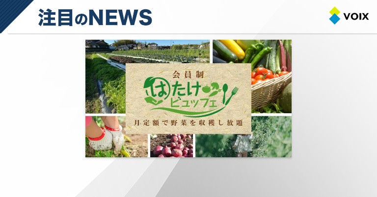 定額で野菜を好きなだけ収穫できるサブスクサービス「GGfield」が愛知県でスタート農業とITの未来メディア「SMARTAGRI スマートアグリ 」