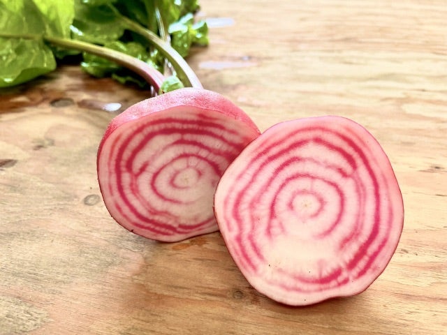 珍しい夏野菜の苗！家庭菜園で育てやすい人気品種などのおすすめランキング野に行く