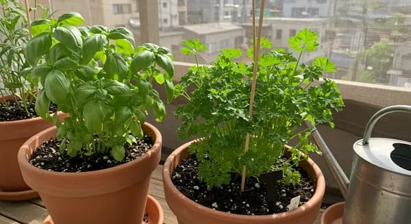 バジルの代用品 6選 代わりになるのはコレ！パセリ・大葉などおすすめ代替品を紹介代用品お探しサイト 困った時に役立つ カワルン