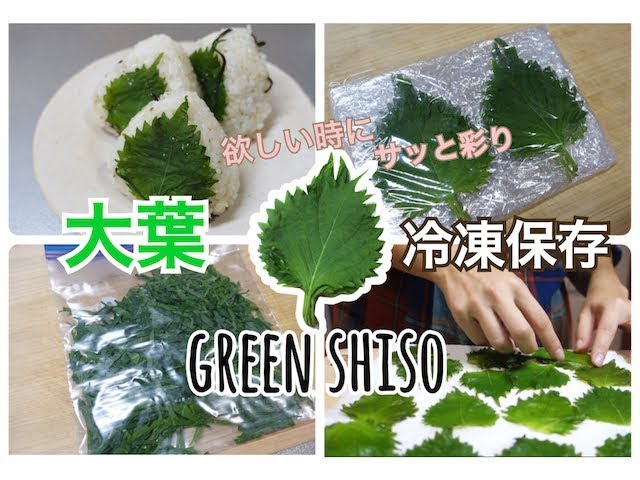 青じそ 大葉 の保存方法 冷蔵・冷凍・乾燥 ！日持ちさせる方法を解説キッコーマンホームクッキング