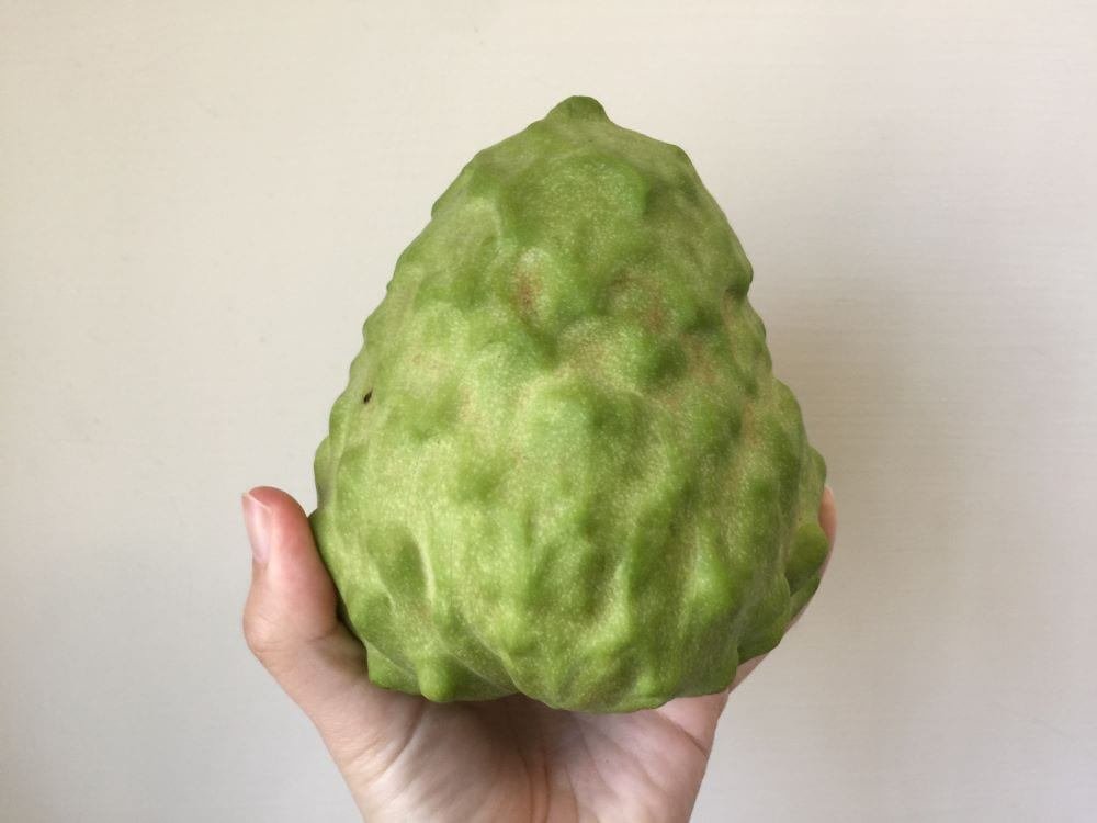 鳳梨釈迦 アテモヤ初めて食べる味！？甘くてクリーミー、一度食べたらやみつきに！レトロな南国！台湾南部の魅力を探しに行こう！from高雄