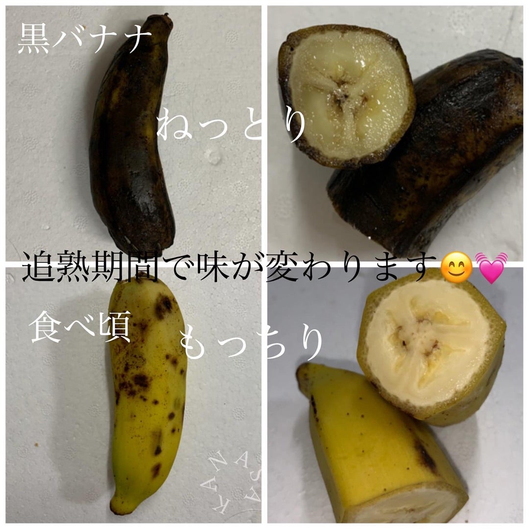バナナ Banana : 遥かなるブラジル ～地球の反対側から日本人に伝えたい１００のこと～ ブラジル熊本県文化交流協会 赤木数成Kazunari Akaki