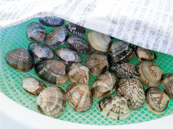 あさり の砂抜き！旨味を引き出す方法