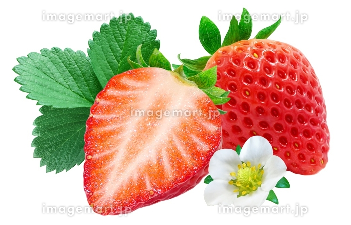 イチゴカラー＆4RDトリートメント - ヘアーブランド InFInT