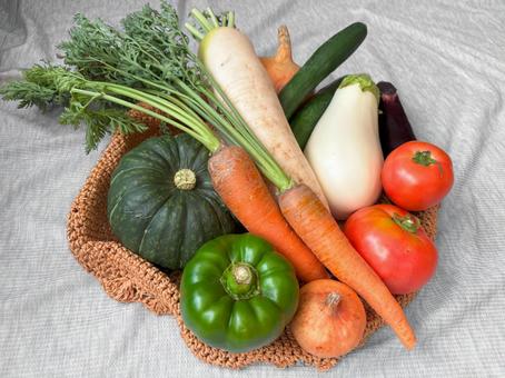 すぐ使える野菜 の検索結果無印良品