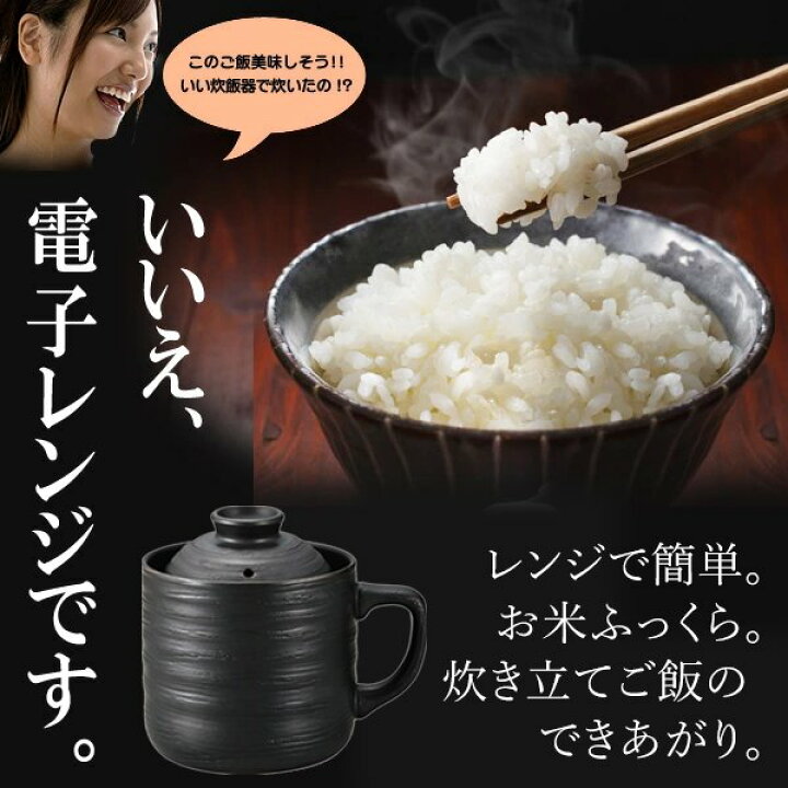 一食分を手軽においしく炊ける！電子レンジ炊飯器の通販おすすめランキングベストオイシ