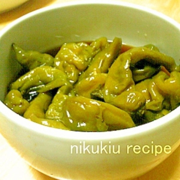 伏見甘長とうがらし<500ｇ>my-cs 京野菜プロジェクト powered by BASE