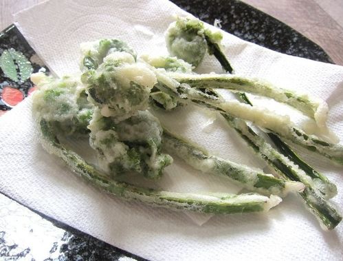 きょうの料理 こごみの天ぷらの作り方。大原千鶴さんの春の行楽弁当凛とした暮らし〜凛々と