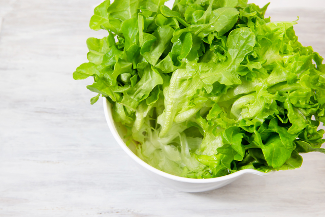 レタスの洗い方と切り方 ちぎり方 3種千切り・ざく切り・手でちぎるN.D.Kitchen Basic