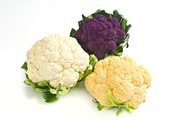 日本ではまだ珍しい西洋野菜について。代表的な西洋野菜、どう栽培する？どう販売する？ - 農業メディア│Think and Grow ricci