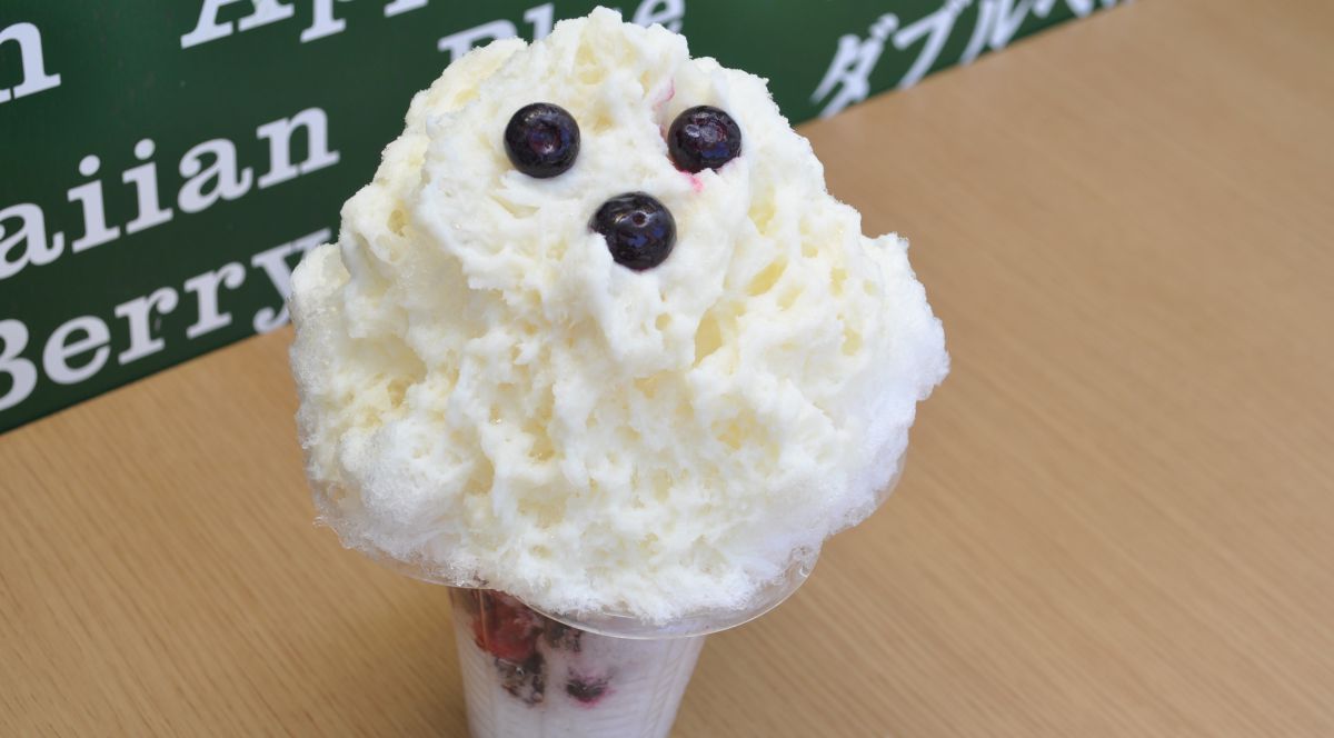 超カワイイてんこ盛りかき氷！鹿児島名物しろくま！天文館むじゃき本店Ｂ級グルメランチ紀行