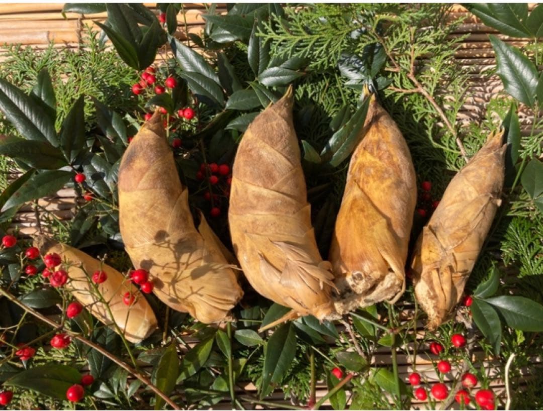 京野菜・果物 美方屋 創業70年 美方屋厳選! 朝掘たけのこ 瓶詰京都府京都市ふるさと納税サイト「さとふる」