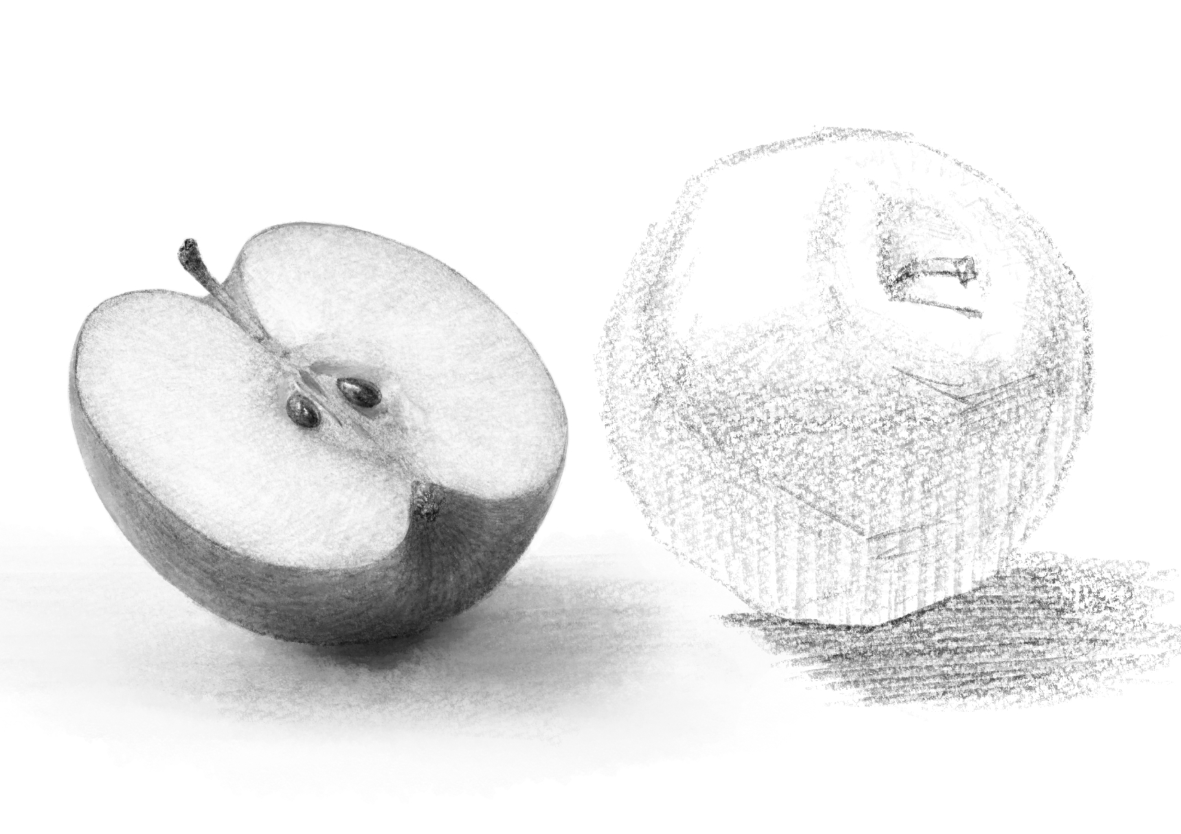 横向きに半分に切ったりんごの断面。 白バック の写真素材227593171 毎月1点無料 フリー のストックフォト イメージマート