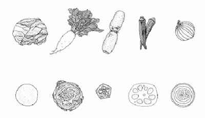 果物と野菜 断面4シート - ハンドメイド nicominne 国内最大級のハンドメイド・手作り通販サイト