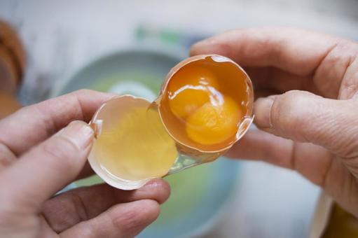 殻が割れた生卵。無料ベクターイラスト素材 － All Free Clipart +