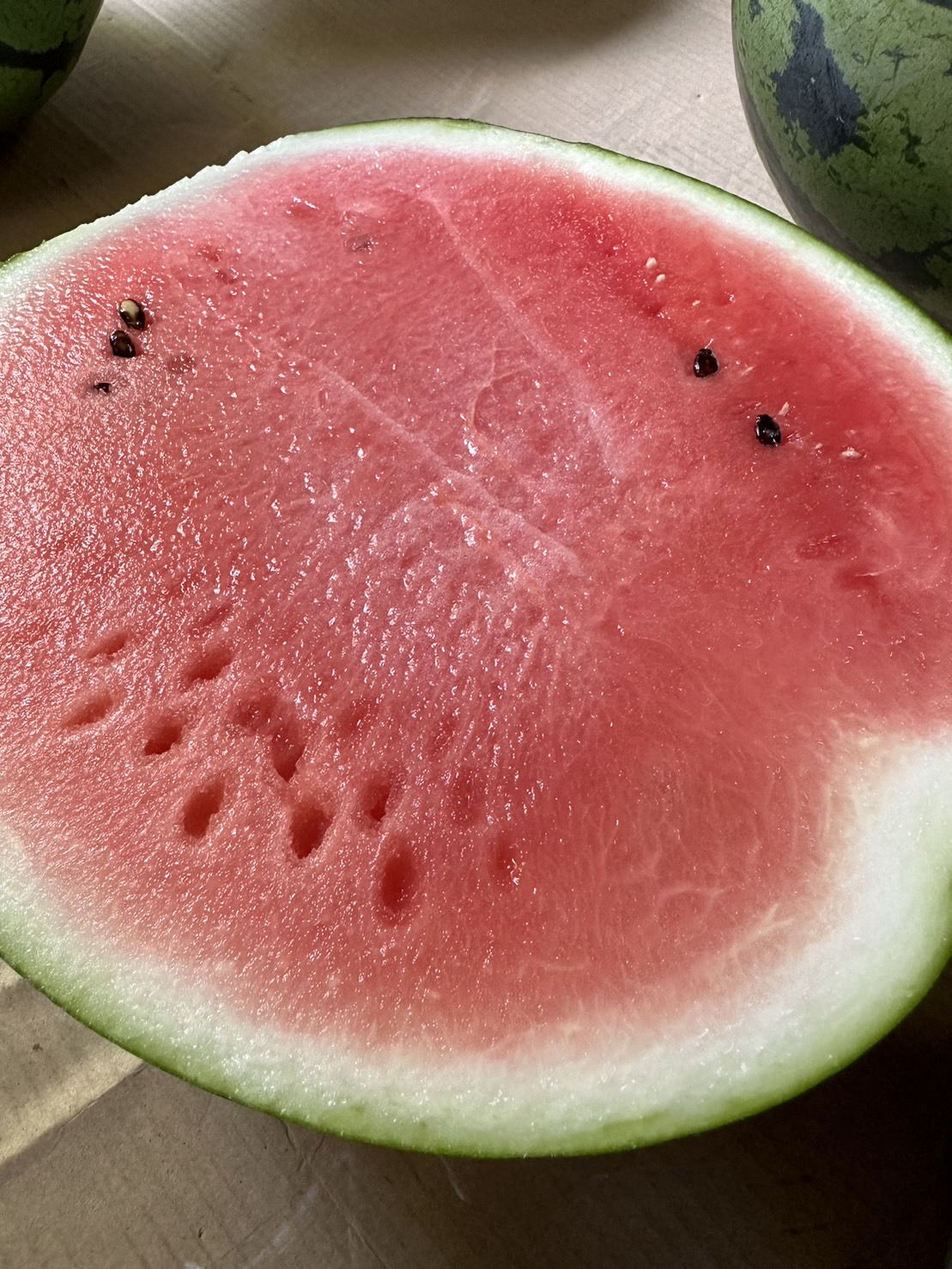 楽天市場ふるさと納税出荷中 ! 大玉 スイカ 1玉2025年5月頃〜6月末頃まで順次発送すいか スイカ 果物 フルーツ 大玉 国産熊本県 和水町 西瓜 大玉くまもと生産量 日本一 熊本県 夏の定番 オススメ 高評価 ふるさと納税 人気 夏 果物 suikawatermelon :