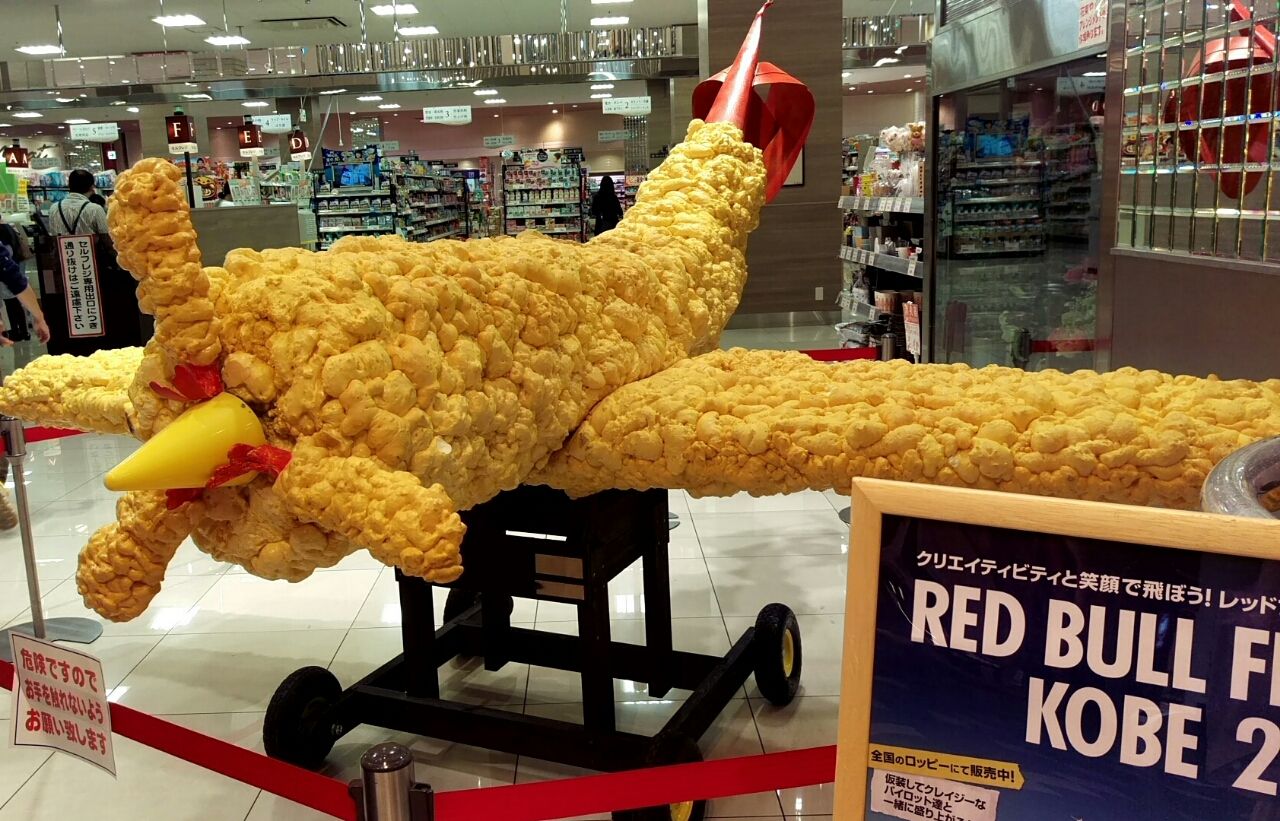 エビフライで遊びまくりな子猫＆呆れるこーちゃんがおもしろかわいい😂😂😂