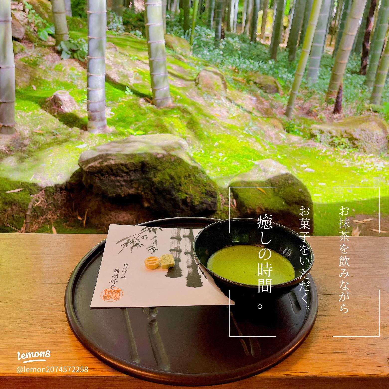 鎌倉竹の庭でお抹茶 ～報国寺～』鎌倉 神奈川県 の旅行記・ブログ by 京妓さん フォートラベル