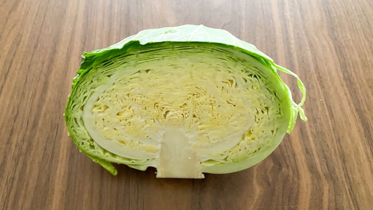 野菜のプロ監修 「キャベツ」の保存方法は？正しい方法を知りおいしく使い切ろう！サンキュ