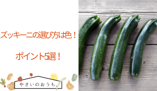 2022年5月27日『人生レシピ』ご覧いただきありがとうございましたみなとの野菜大辞典