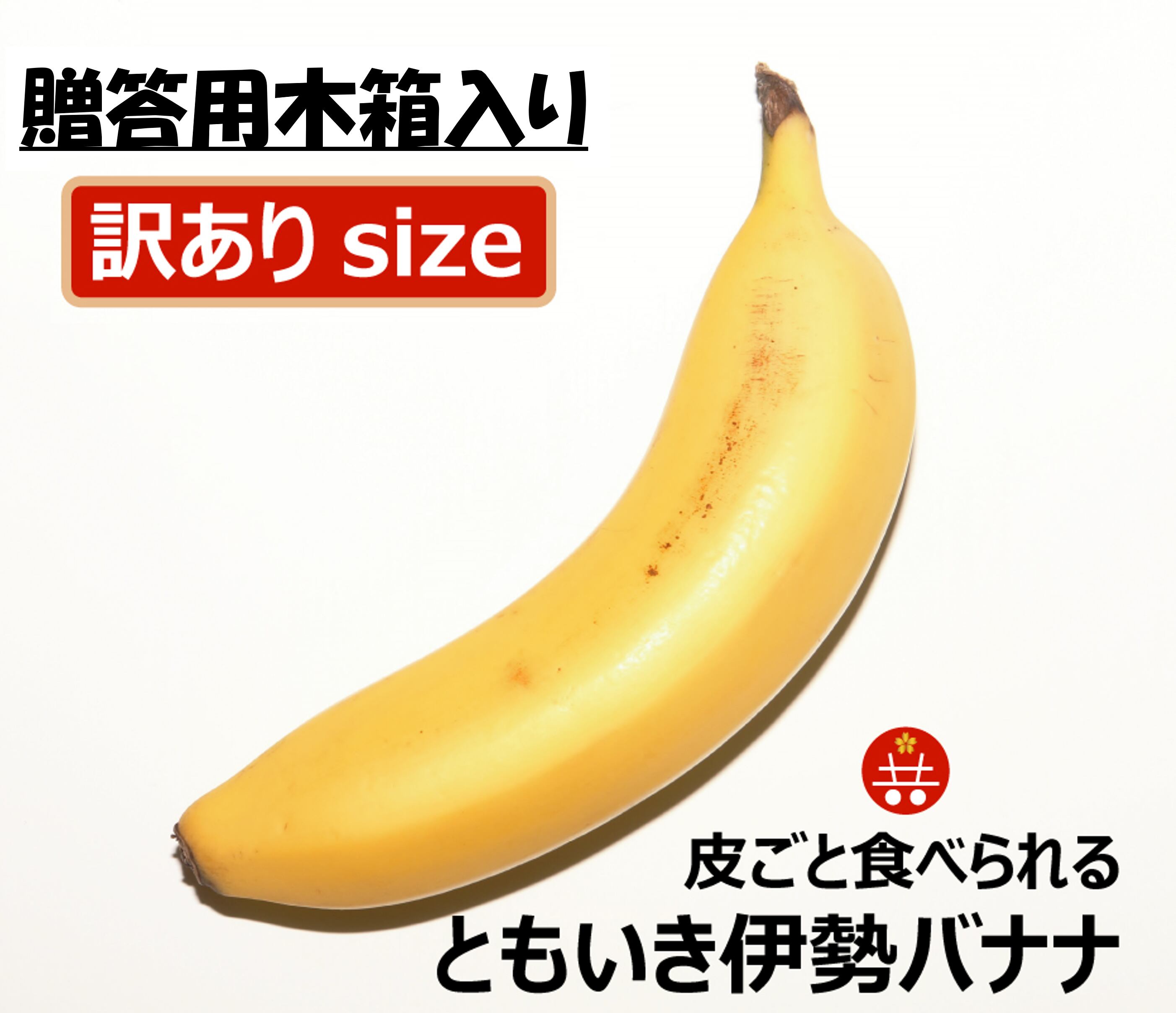 5本で6480円の超高級』京都産バナナは「中国なら2倍の値段で売れる！？」糖度27度・厚さ1mmの皮ごとOK・無農薬 にバイヤーも注目特集MBSニュース