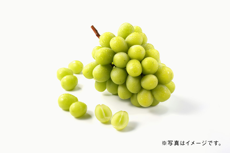 アボカド フレッシュなあぼがどは野菜料理にも アボカドの写真素材95013045- PIXTA