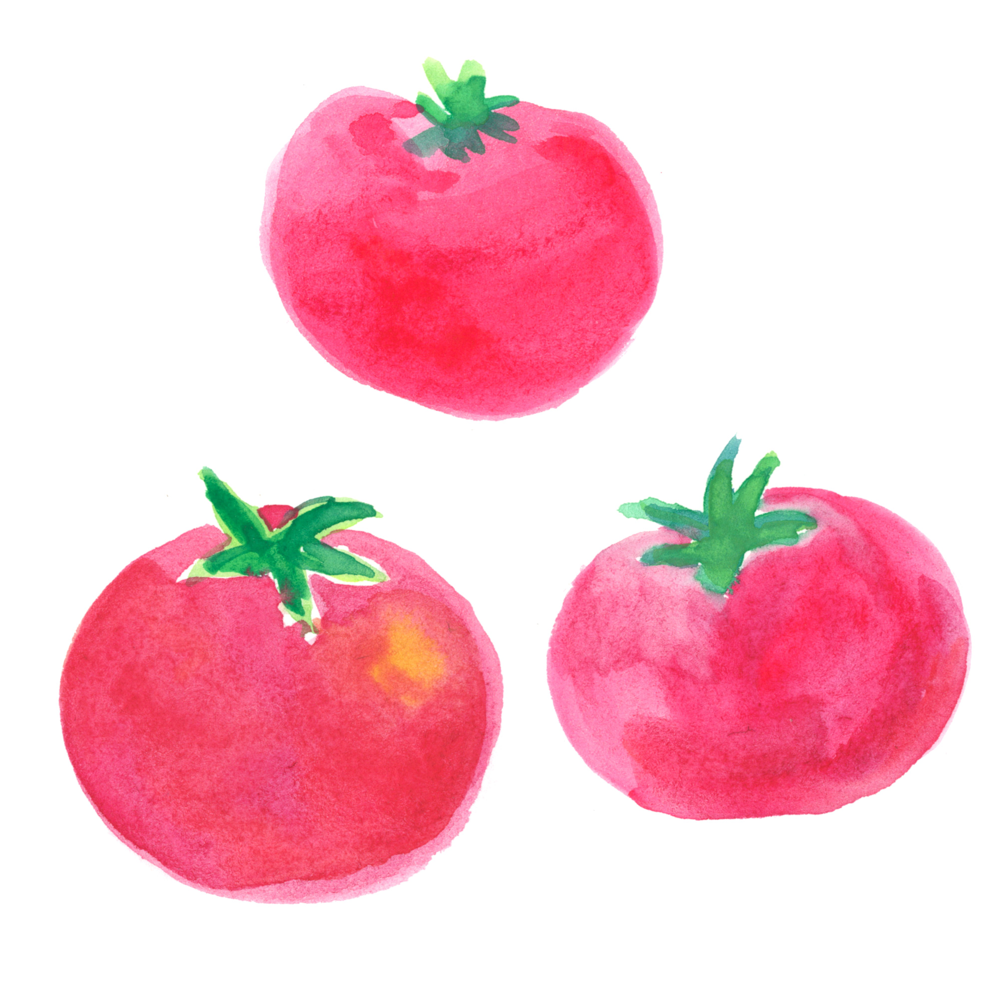 おしゃれ野菜の写真素材写真素材なら「写真AC」無料 フリー ダウンロードOK