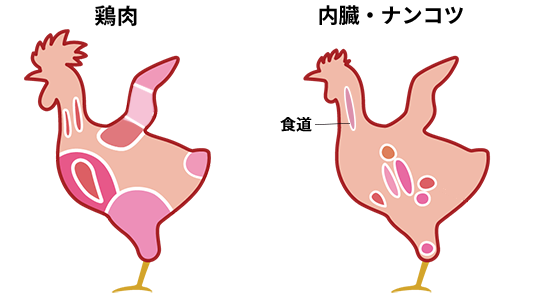 黒さつま鶏希少部位セット 5種