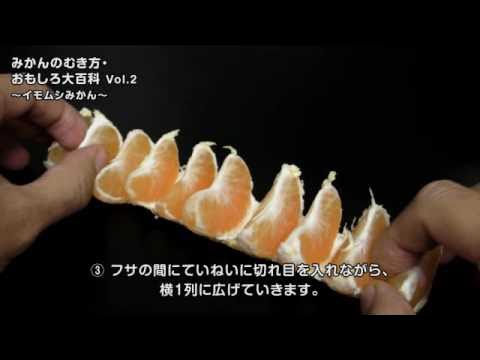 みかんの皮の面白い剥き方 by cafe-cafeクックパッド簡単おいしいみんなのレシピが392万品
