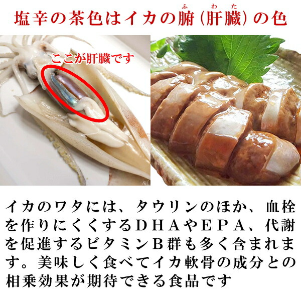 スルメイカ、ヤリイカ、アオリイカの捌き方を写真で解説。イカまるごとレシピも！ - ソレドコ