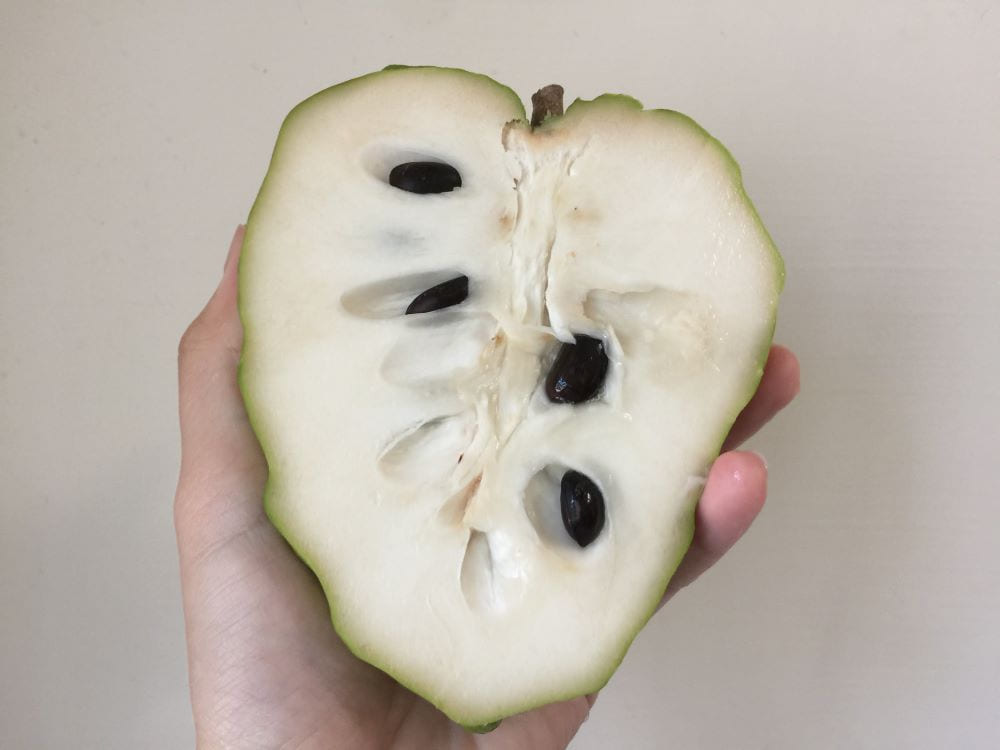 台湾 甘くて美味しい釋迦頭 バンレイシ の食べ頃と食べ方 - ふんわり台湾