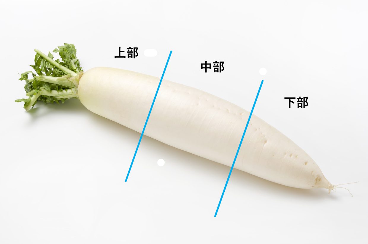 大根のひげ根はまっすぐ並んだ方が甘いって本当？まっすぐと曲がったのを食べ比べてみたら意外な結果に！生活知恵袋