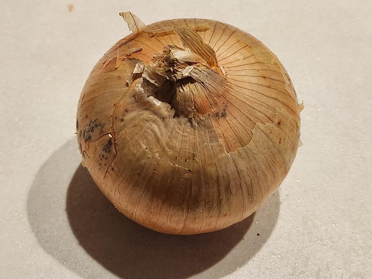 生のまま玉ねぎの保存方法