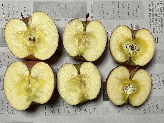 りんご断面の写真素材1801912- PIXTA