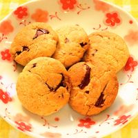 簡単！基本のチョコチップクッキ