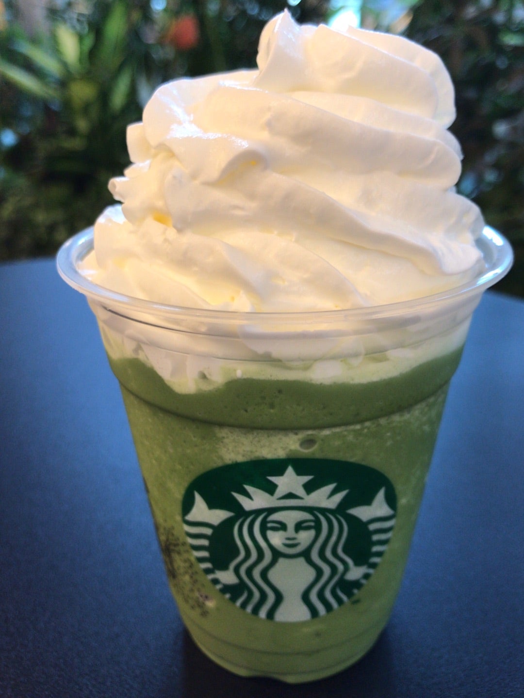 スターバックス ティバーナ 和三盆ほうじ茶ティーラテをカスタムVITAのおひとりさまスタバ&カフェブログ