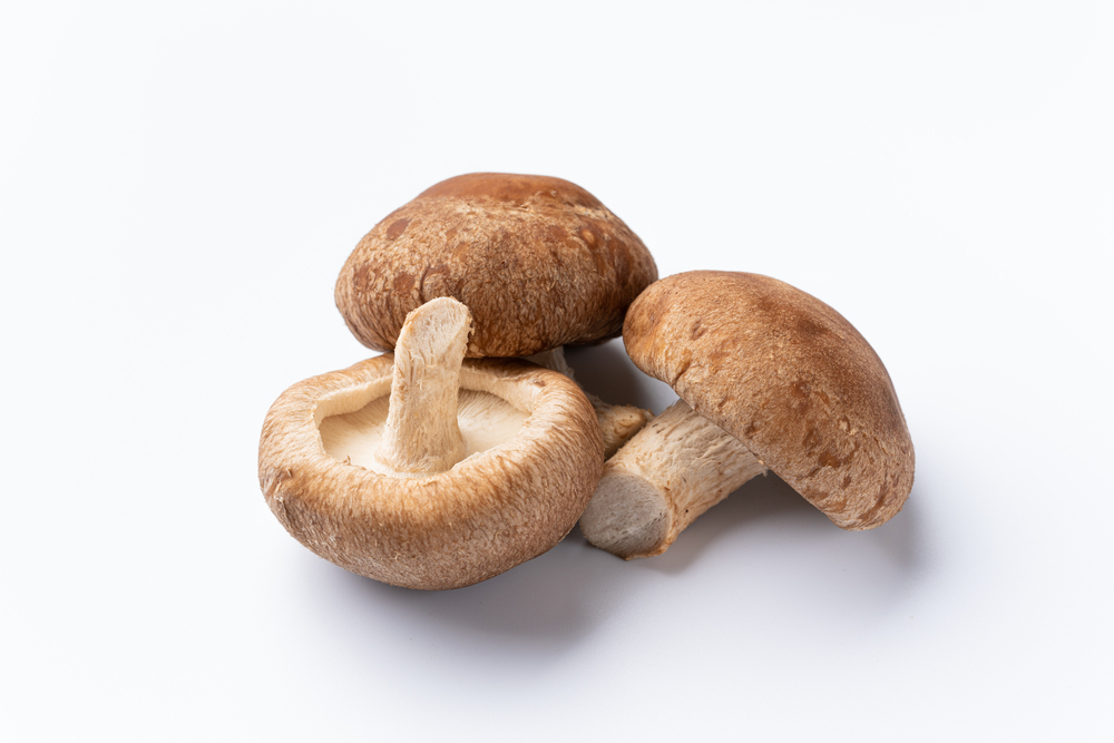 無類のしいたけ好きに「しいたけ」が一番美味しく食べられる激推しレシピ聞いてみましたkufura クフラ 小学館公式